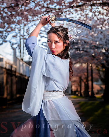 Cherry Blossoms