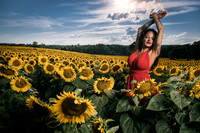 Sunflower Farm