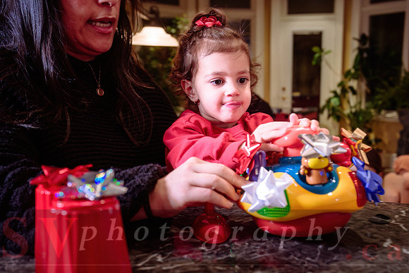 Nicolaidis Xmas Party