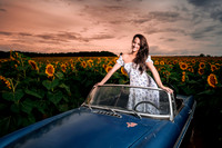 In the field of dreams