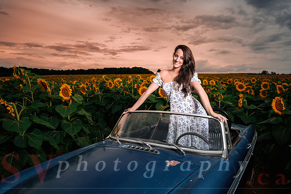 In the field of dreams