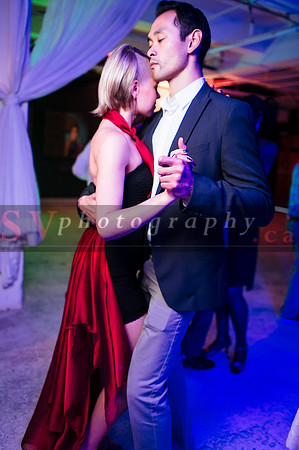 iFreeStyle's 8th Annual Christmas Gala - Social Dancing