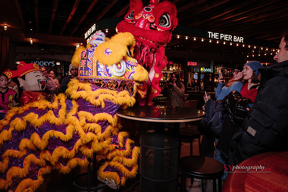 Lunar New Year Celebrations
