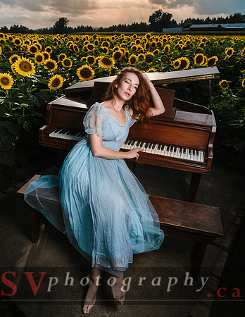 Sunflowers