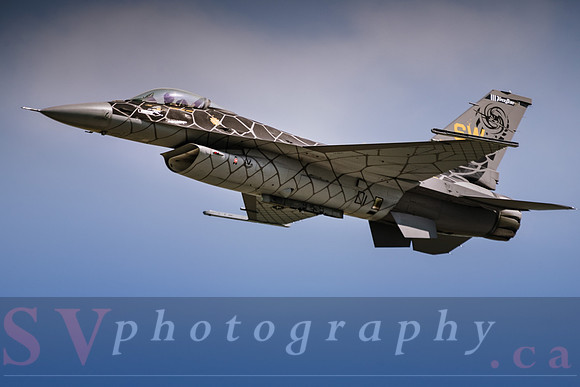 Airshow London 2020 - Sky Drive