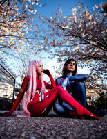 Hiro & Zero Two