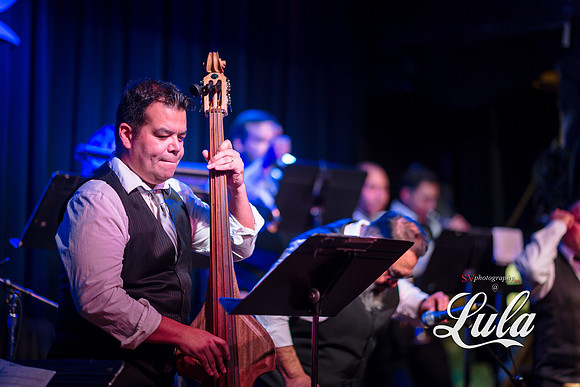 Elegante de la Salsa
