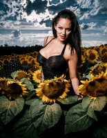 Sunflower Farm