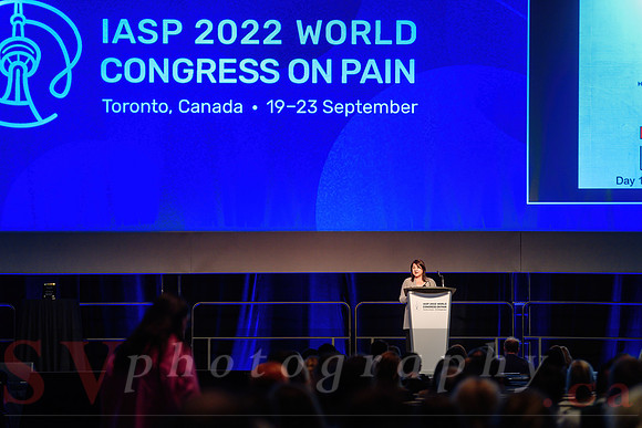 19th World Congress on Pain