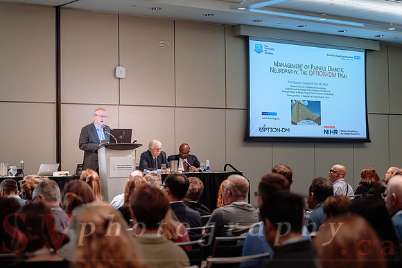 19th World Congress on Pain