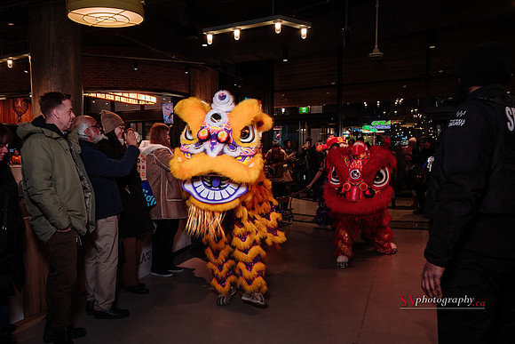 Lunar New Year Celebrations