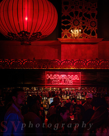 Lula Lounge Cuban Fridays