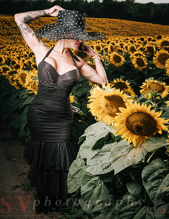 Sunflower Farm
