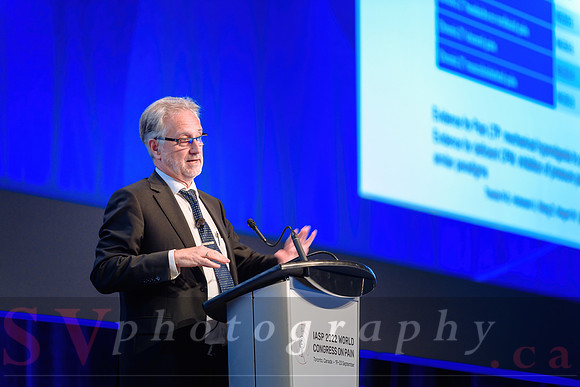 19th World Congress on Pain