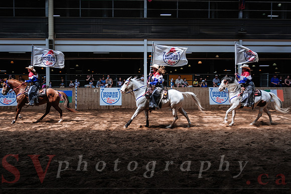 CNE’s interactive horse program CNE HorseCapades