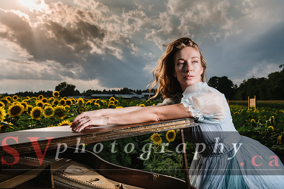 Sunflowers