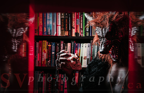 After Hours at the Bookstore