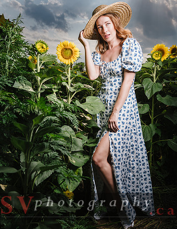 Sunflowers