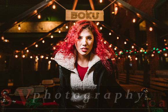 Distillery Winter Village