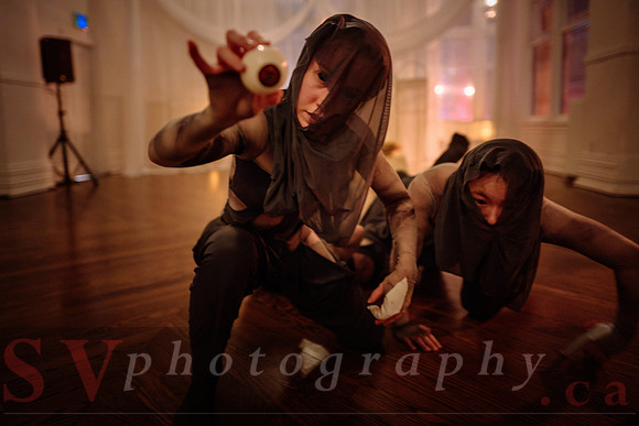 Transcen|Dance Project presents Ophis