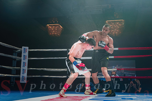 Shaw Boxing 2022