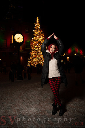 Distillery Winter Village