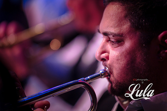 Elegante de la Salsa
