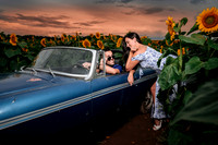In the field of dreams