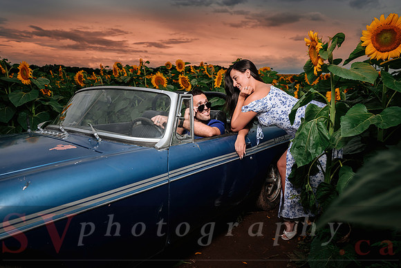 In the field of dreams
