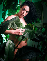 Cannabis