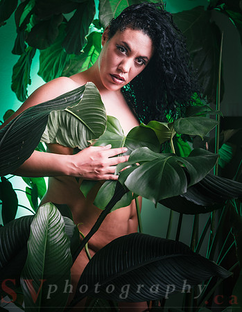 Cannabis