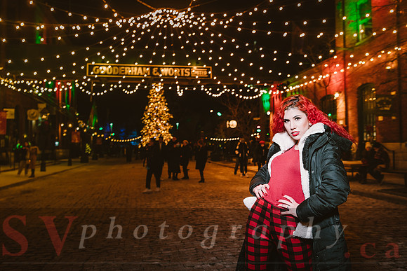Distillery Winter Village