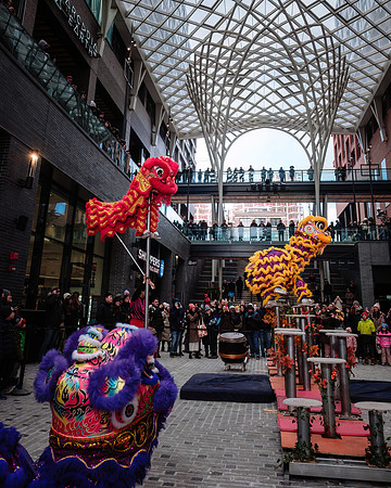 Lunar New Year Celebrations