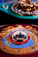 Shaw Boxing 2022