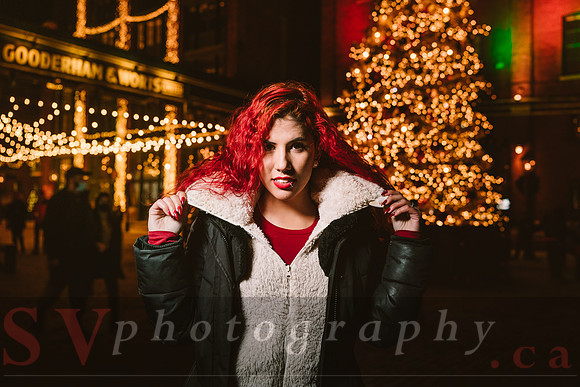 Distillery Winter Village