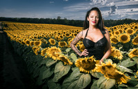 Sunflower Farm