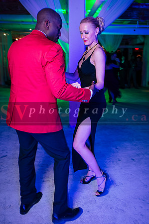 iFreeStyle's 8th Annual Christmas Gala - Social Dancing