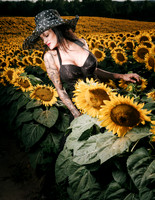 Sunflower Farm