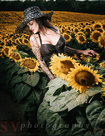 Sunflower Farm