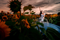 In the field of dreams