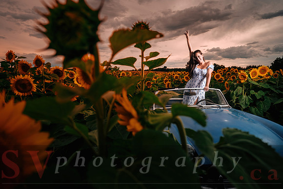 In the field of dreams