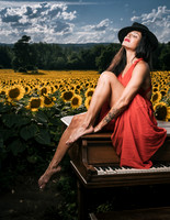 Sunflower Farm