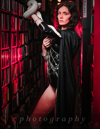 After Hours at the Bookstore