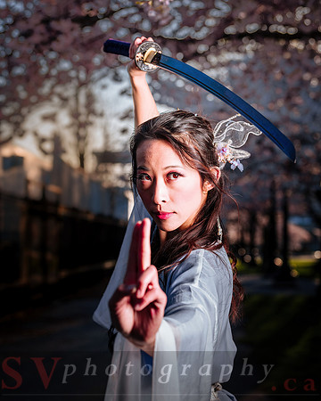 Cherry Blossoms