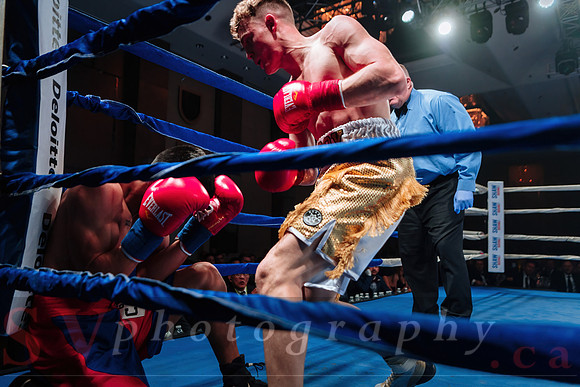 Shaw Boxing 2022
