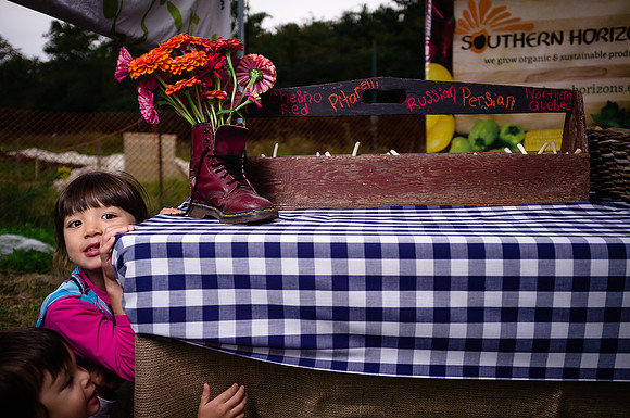 McVean Farm Picnic