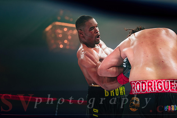Shaw Boxing 2022
