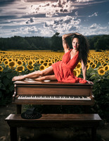 Sunflower Farm