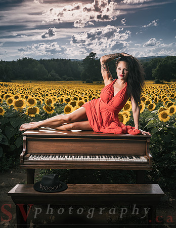 Sunflower Farm