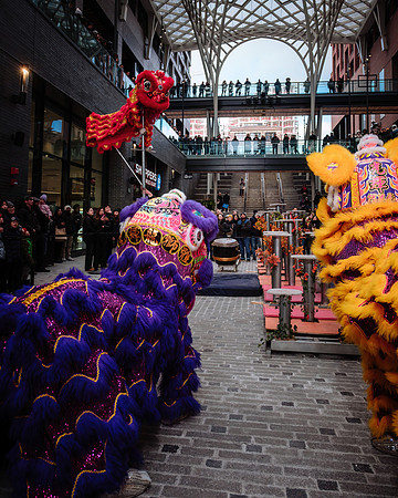 Lunar New Year Celebrations